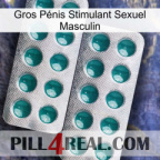 Gros Pénis Stimulant Sexuel Masculin dapoxetine2